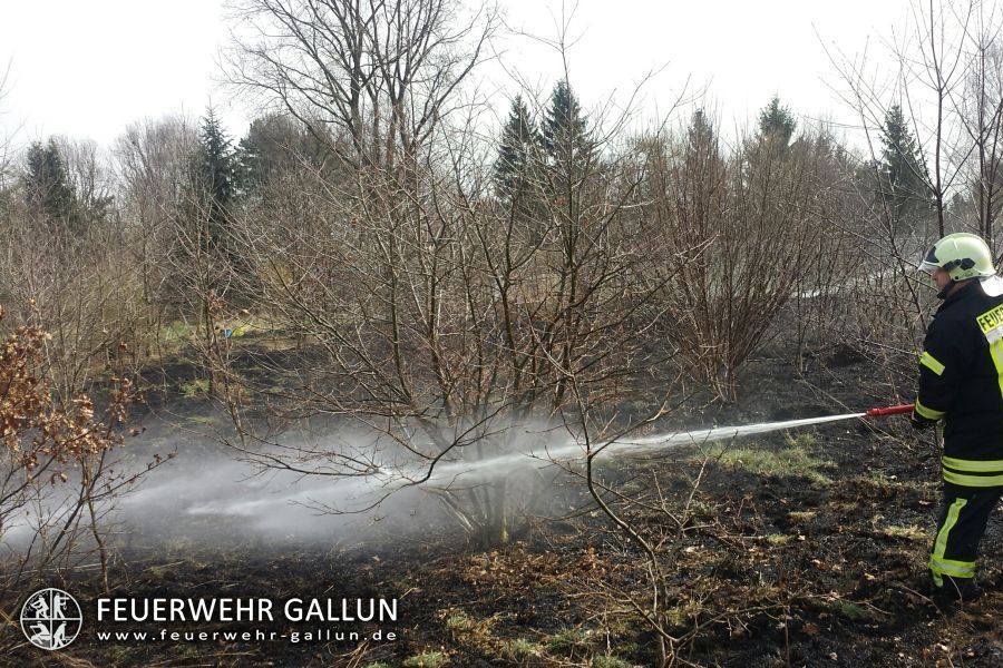 Einsatz 14-2015